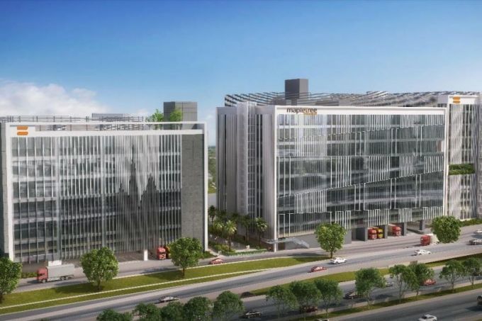 mapletree 1